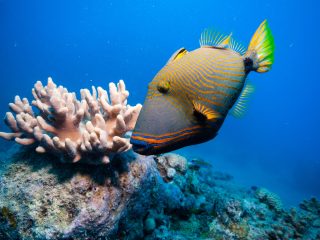 Luxury travel experiences in Australia - Accent On Travel