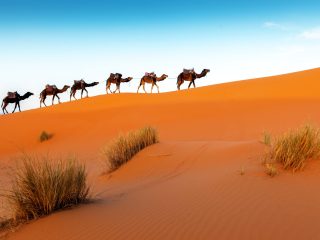 Luxury experience in the Middle East - Accent On Travel