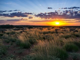 Dawn in the Australian outback - Accent On Travel