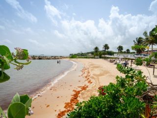 Antigua Ocean Point Beach Resort, Caribbean cruise - Accent On Travel