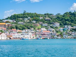 Grenada whale & dolphin tour, Caribbean cruise - Accent On Travel