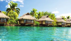 10-111 Day South Pacific Cruises Available