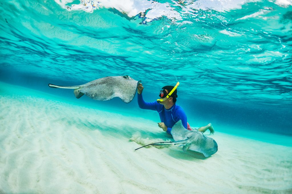 Swimming with Stingrays = Accent On Travel