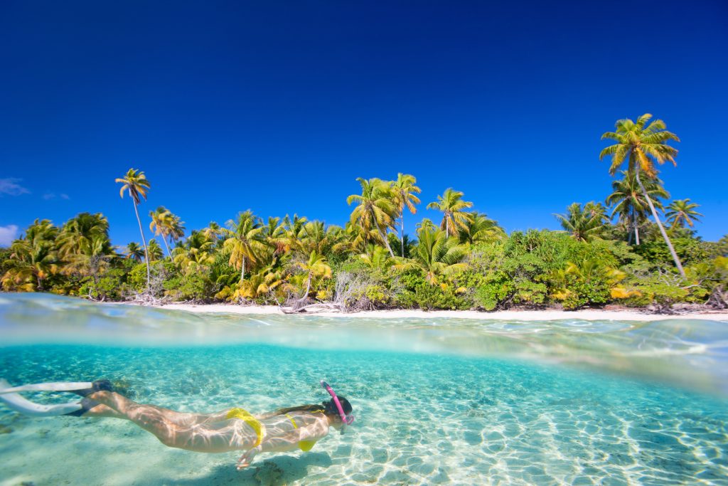 A female in a bikini swimming in clear ocean paradise