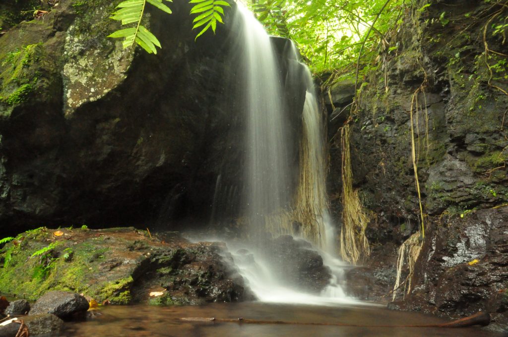Hidden tropical rainforest waterfall on Moorea, Tahiti