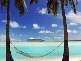Closeup of hammock, palm trees at tropical island - Accent on Travel