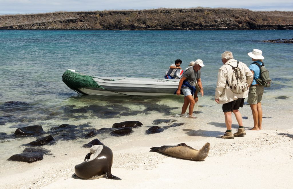 Tourists in boat with sea lion Galapagos Islands - Accent on Travel